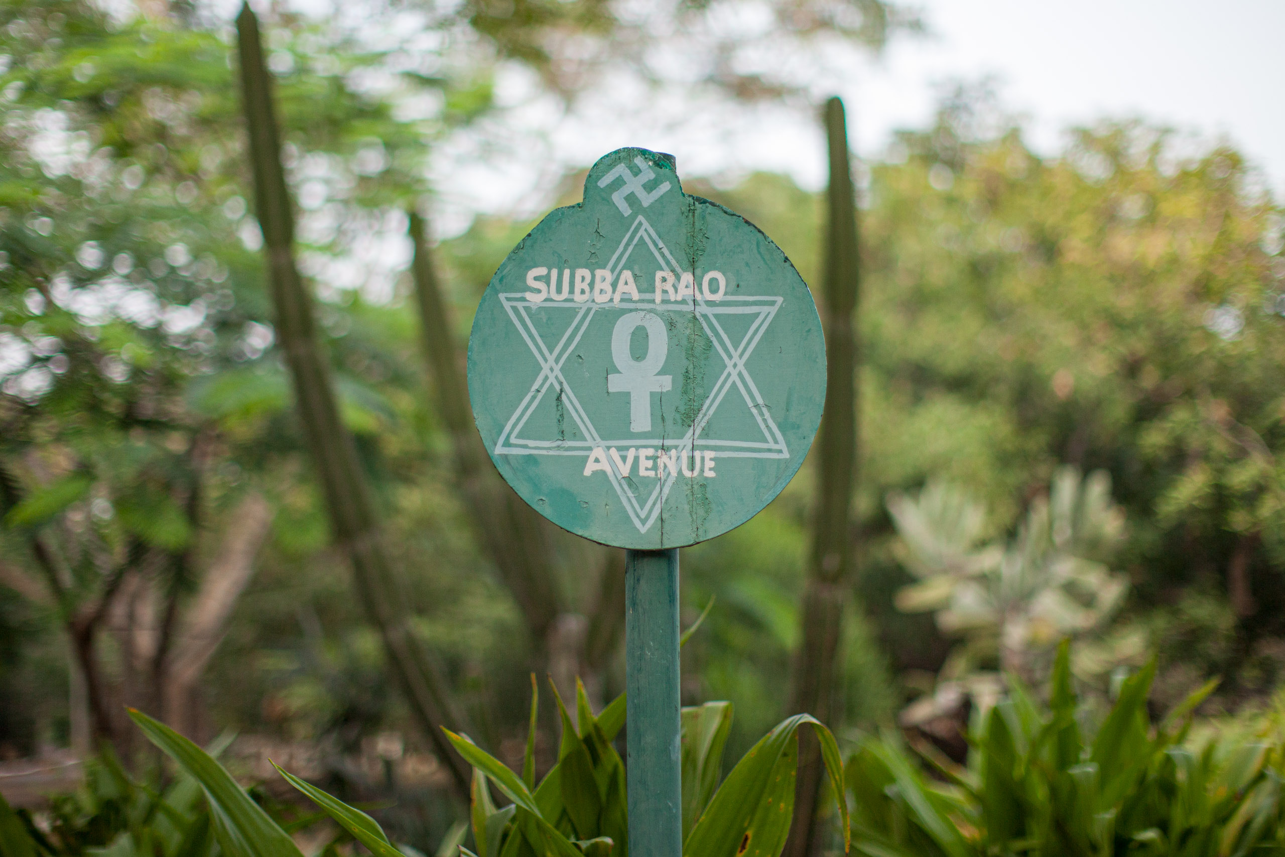 20110103165527 IMG 4042