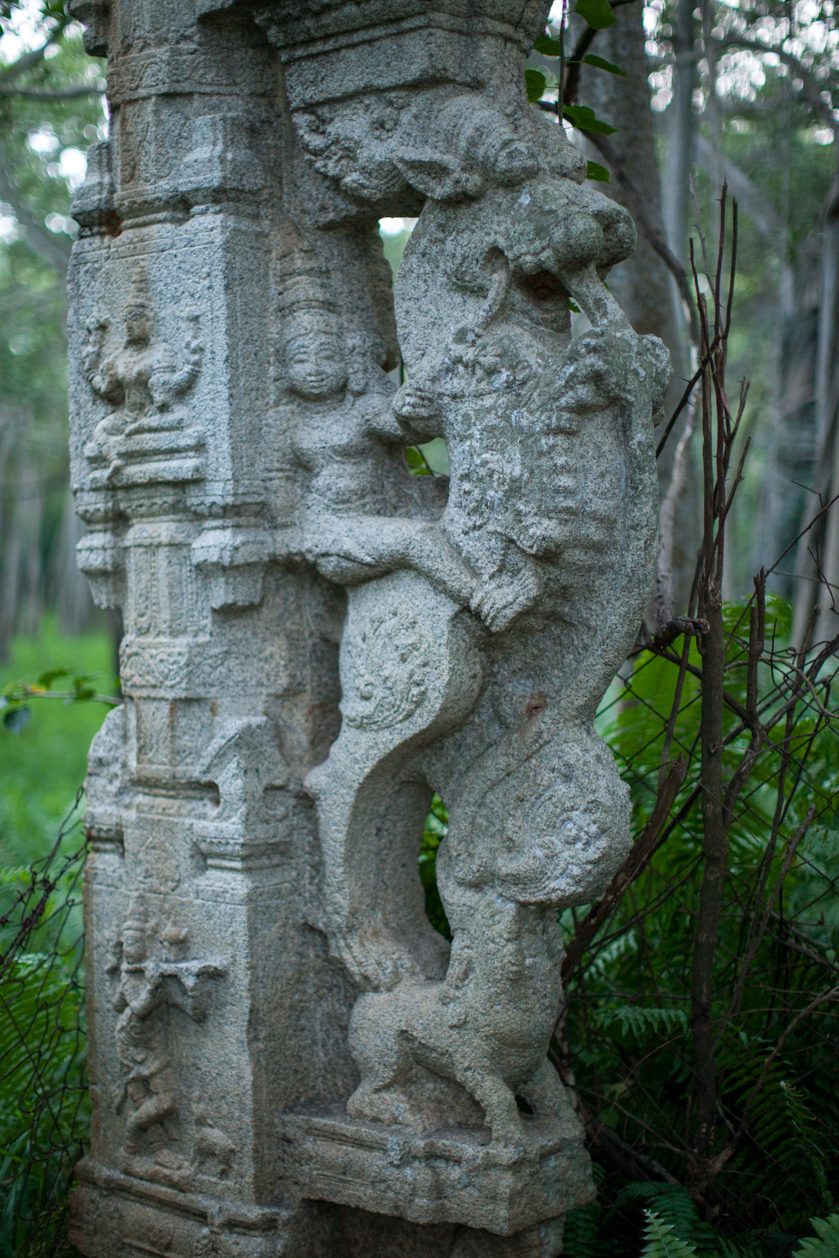 20110104063155 IMG 4229