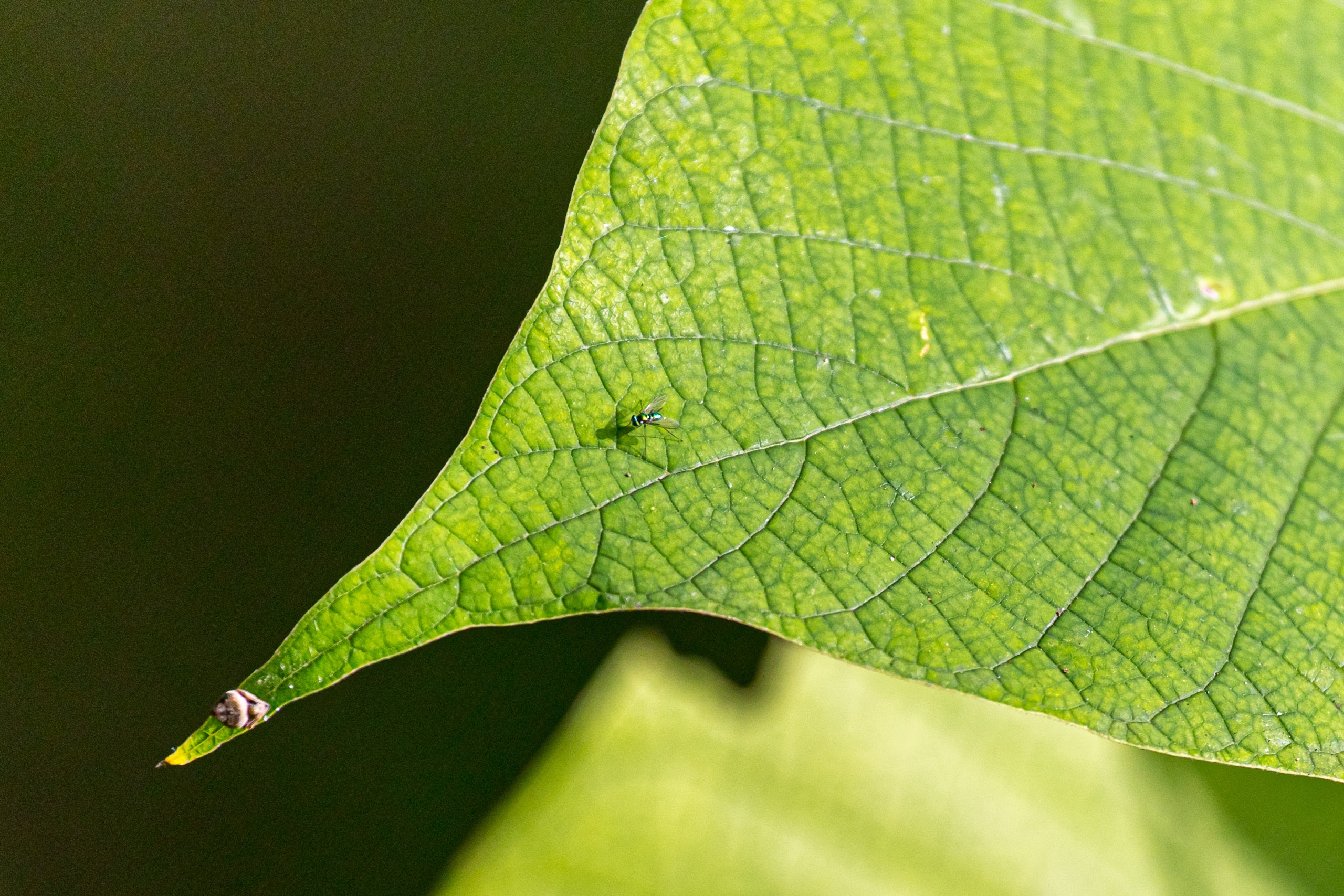 20130111124123 RD 20416