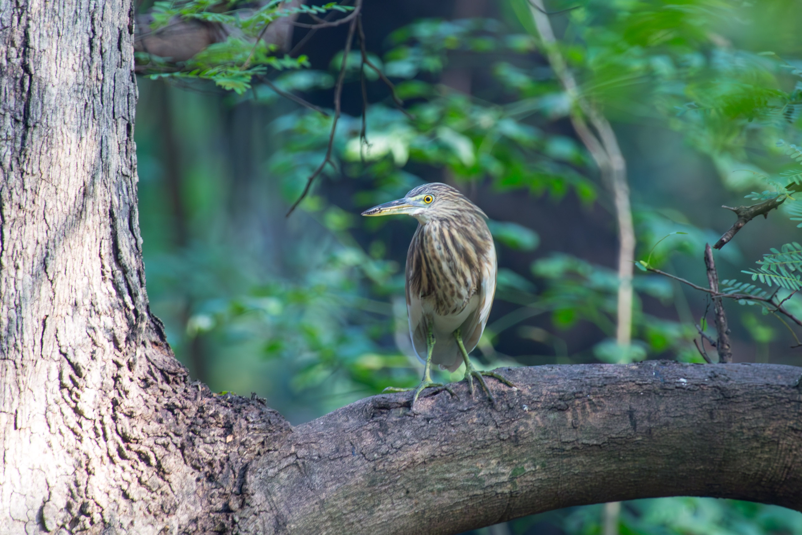 20130112083723 RD 20882 e