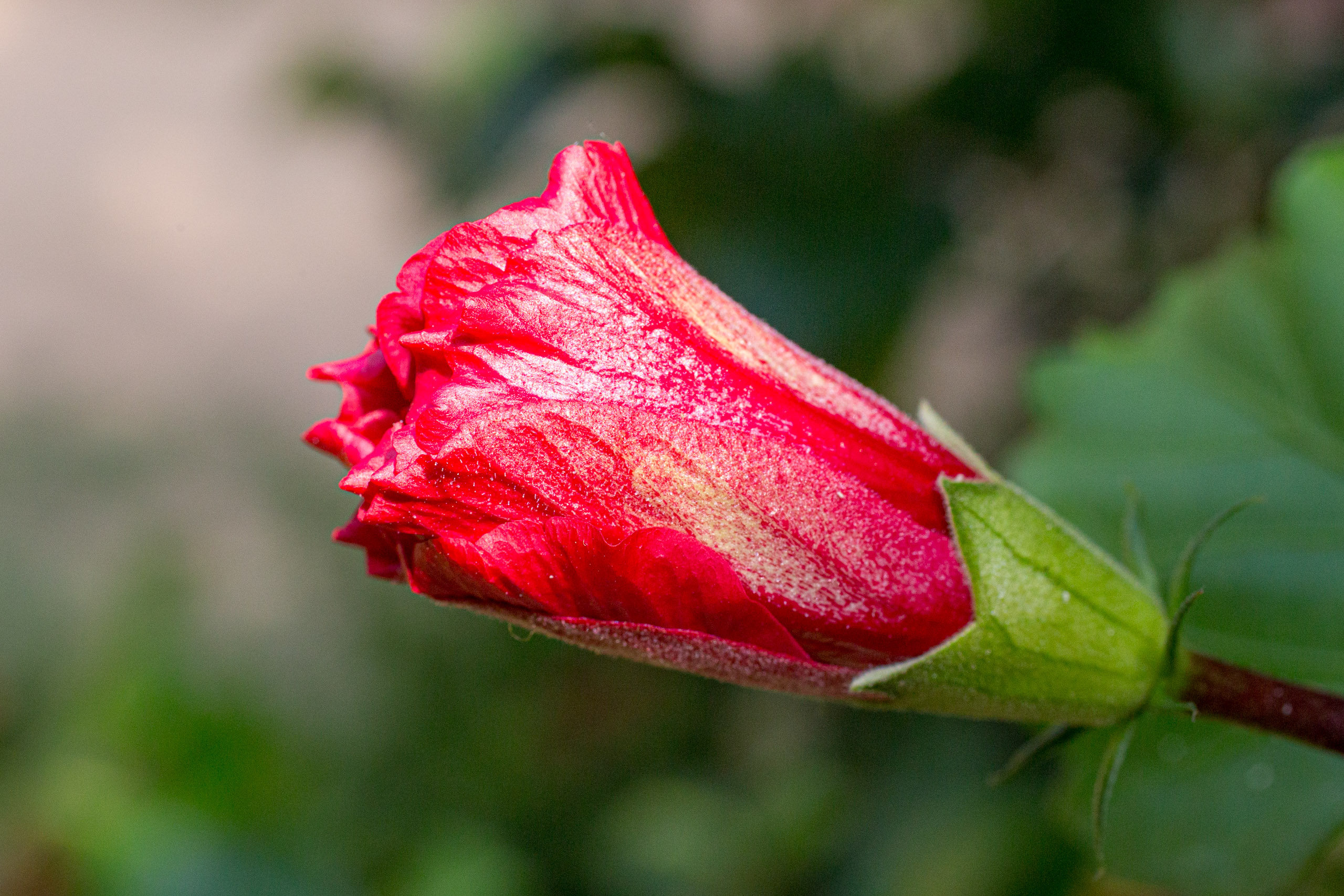 20130123104836 RD 26179