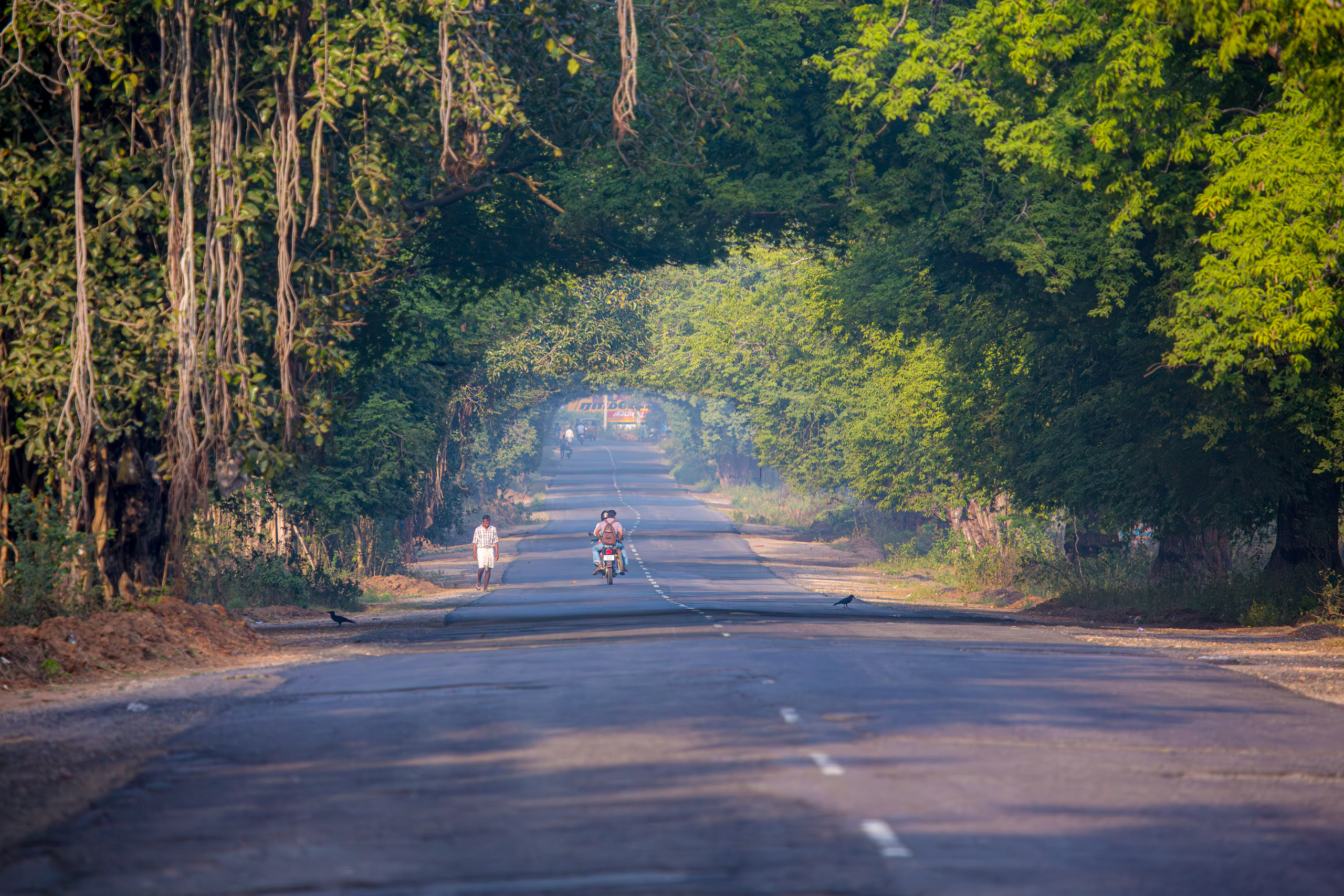 20130113081137 RD 21075 e