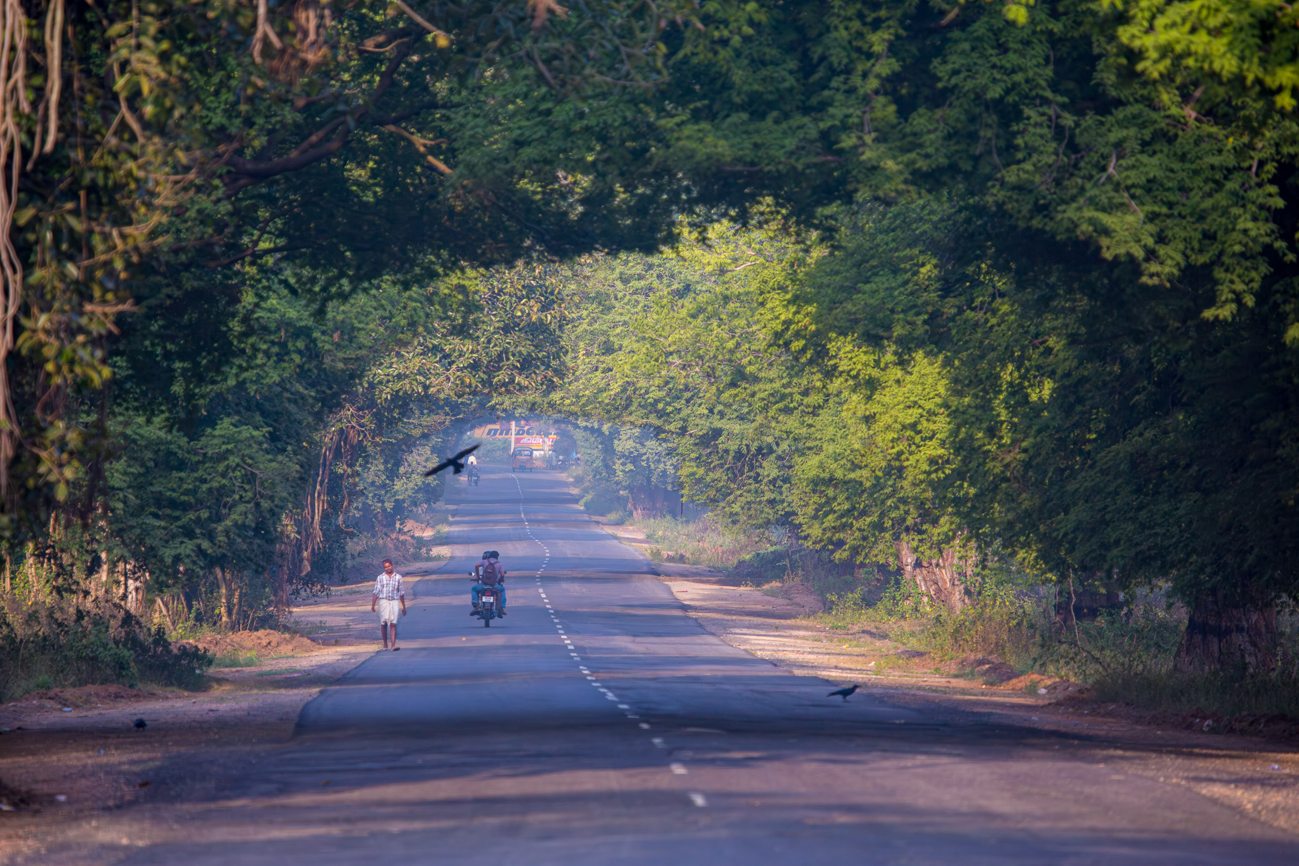 20130113081139 RD 21078 e