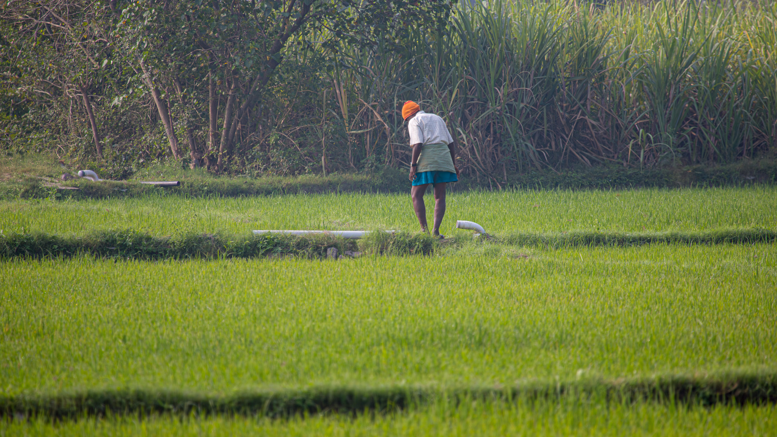 20130113090905 RD 21184 e