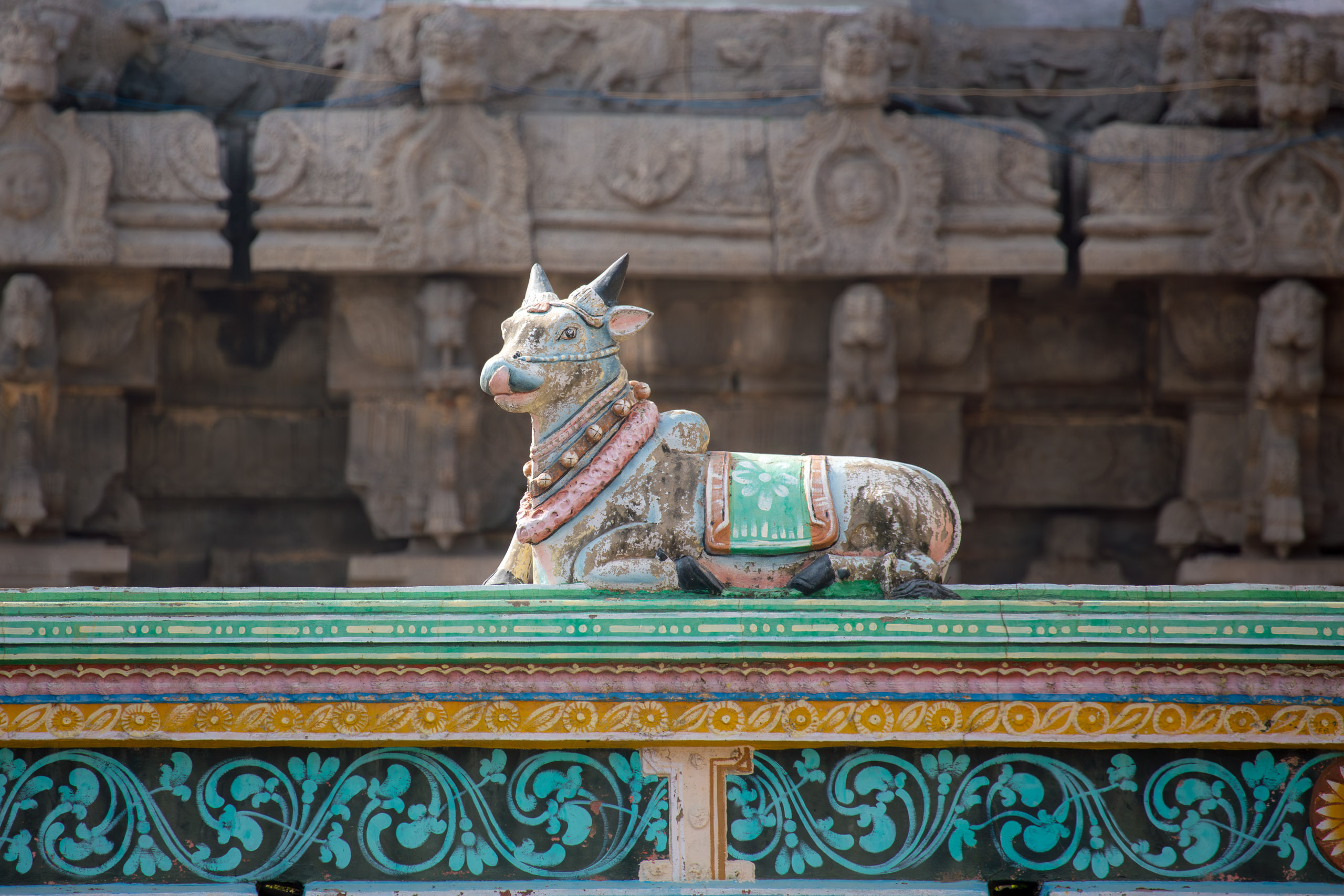 20130113094659 RD 21213 e