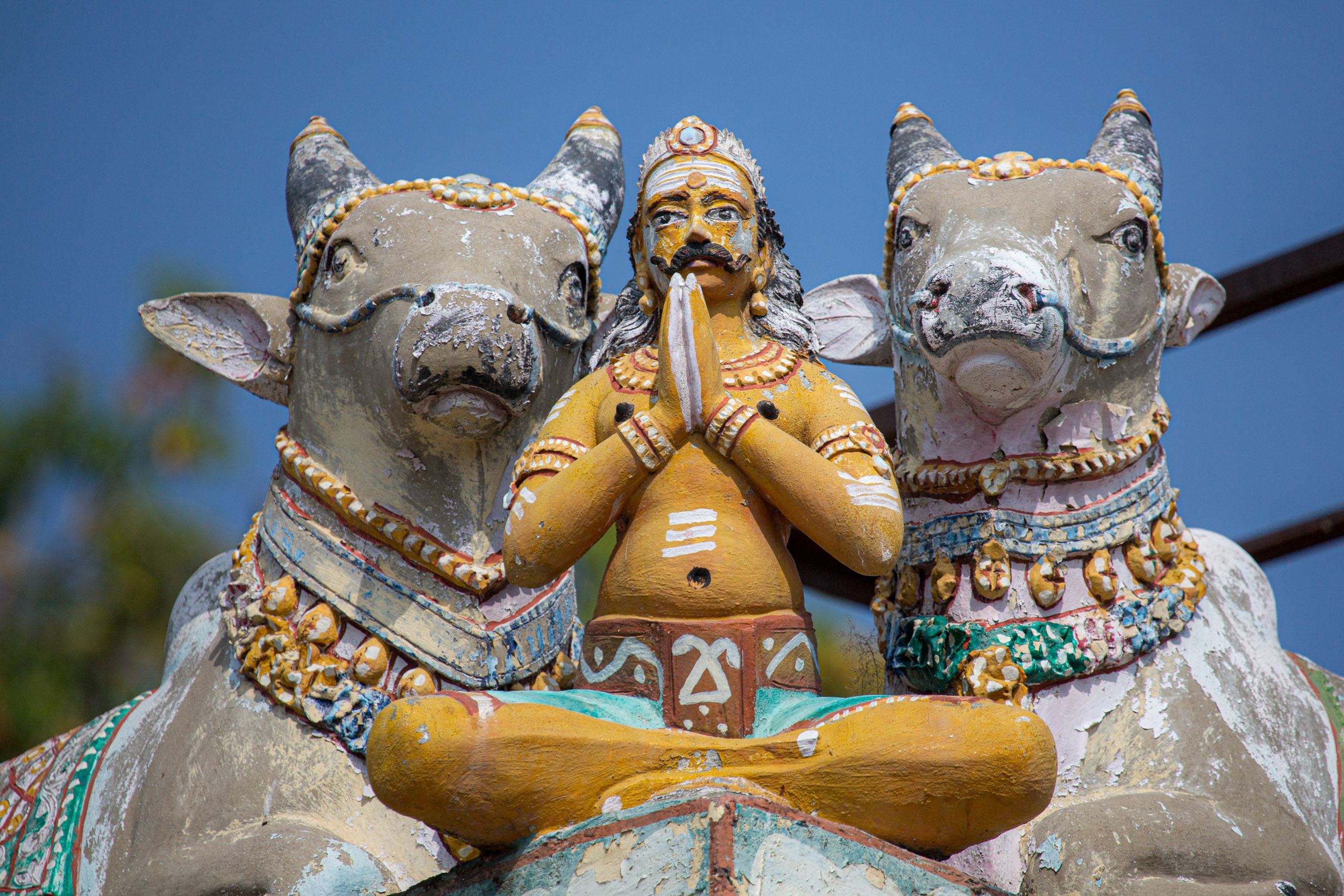 20130113100146 RD 21231