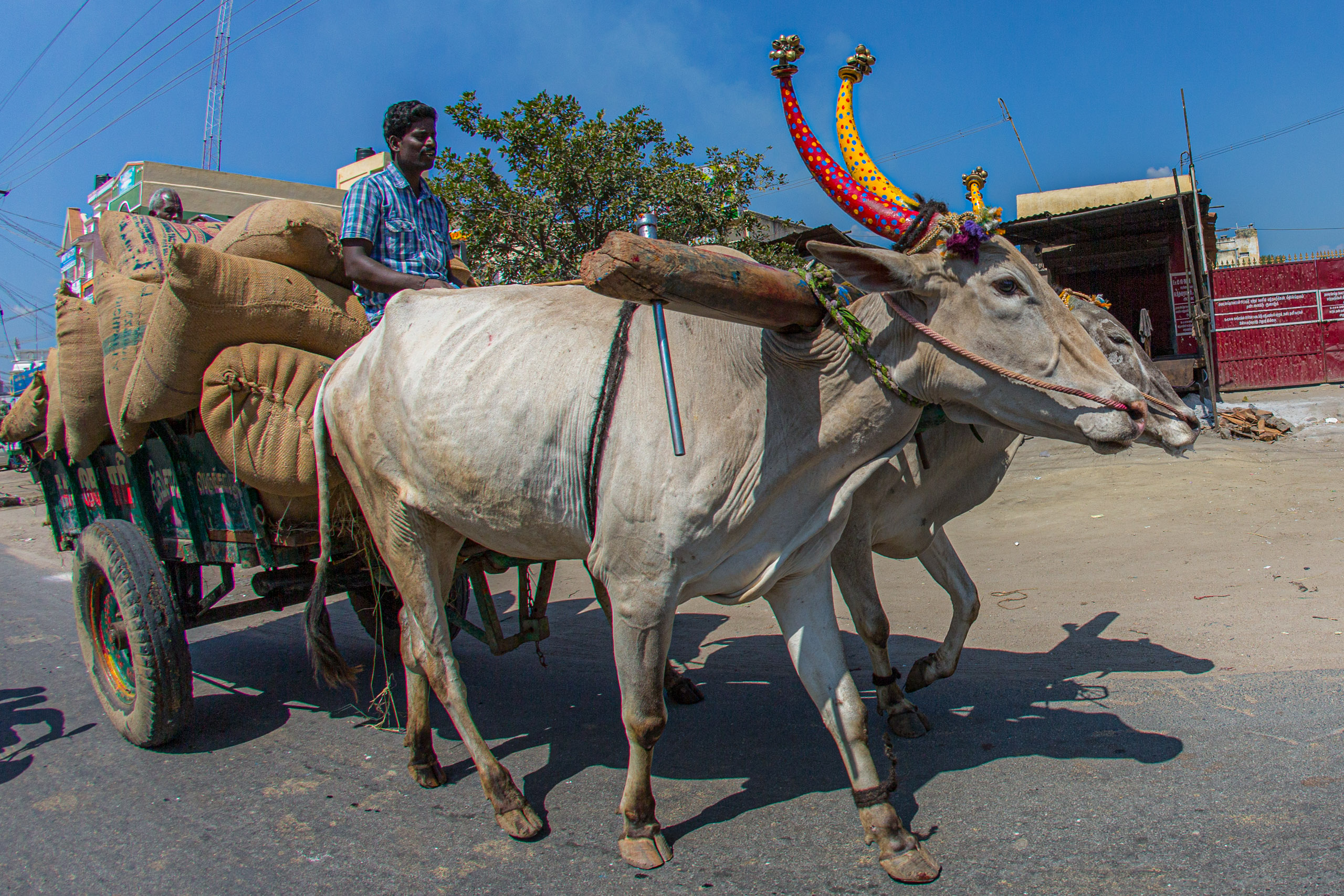 20130120123330 RD 25381