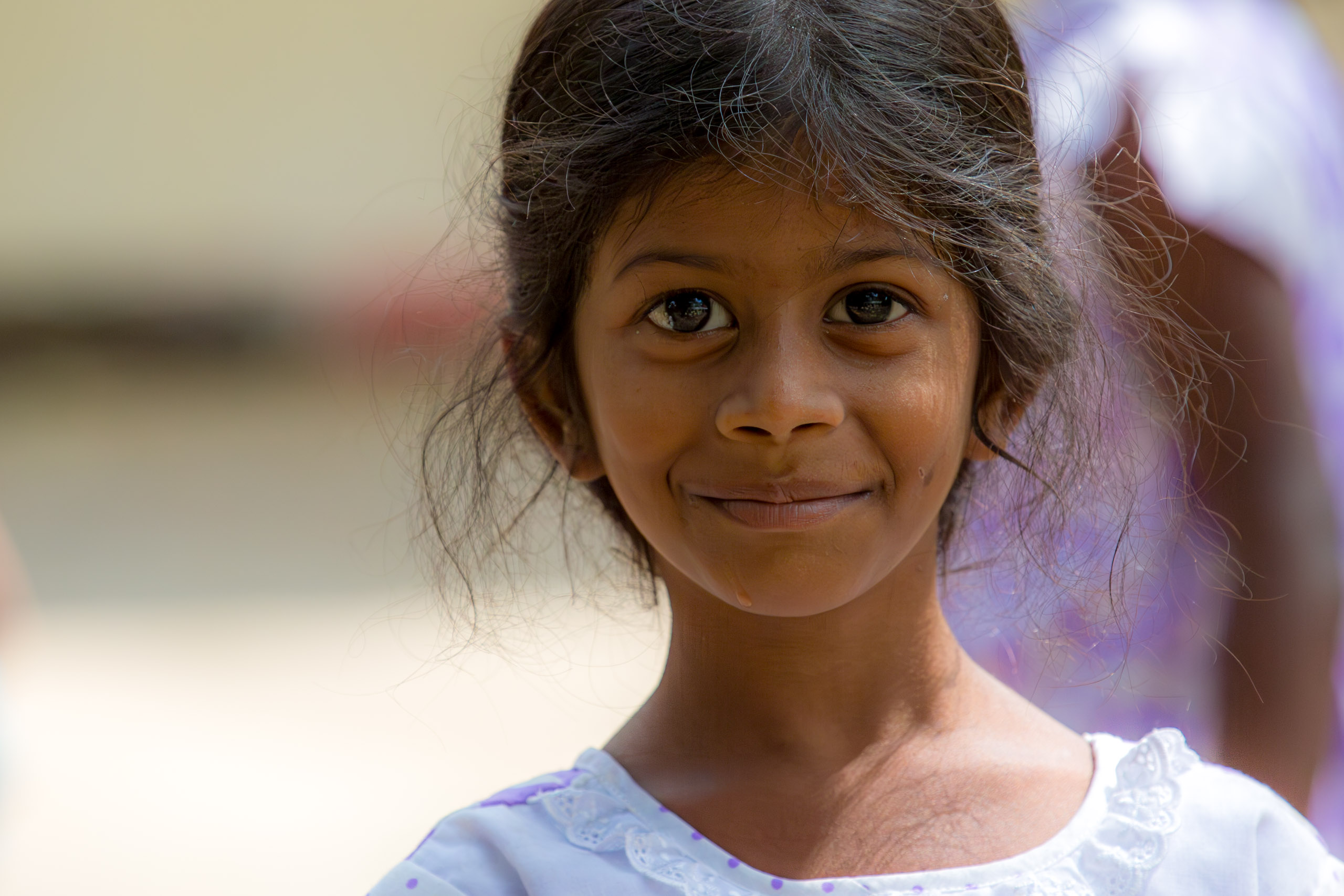 20130111114954 RD 20162 e