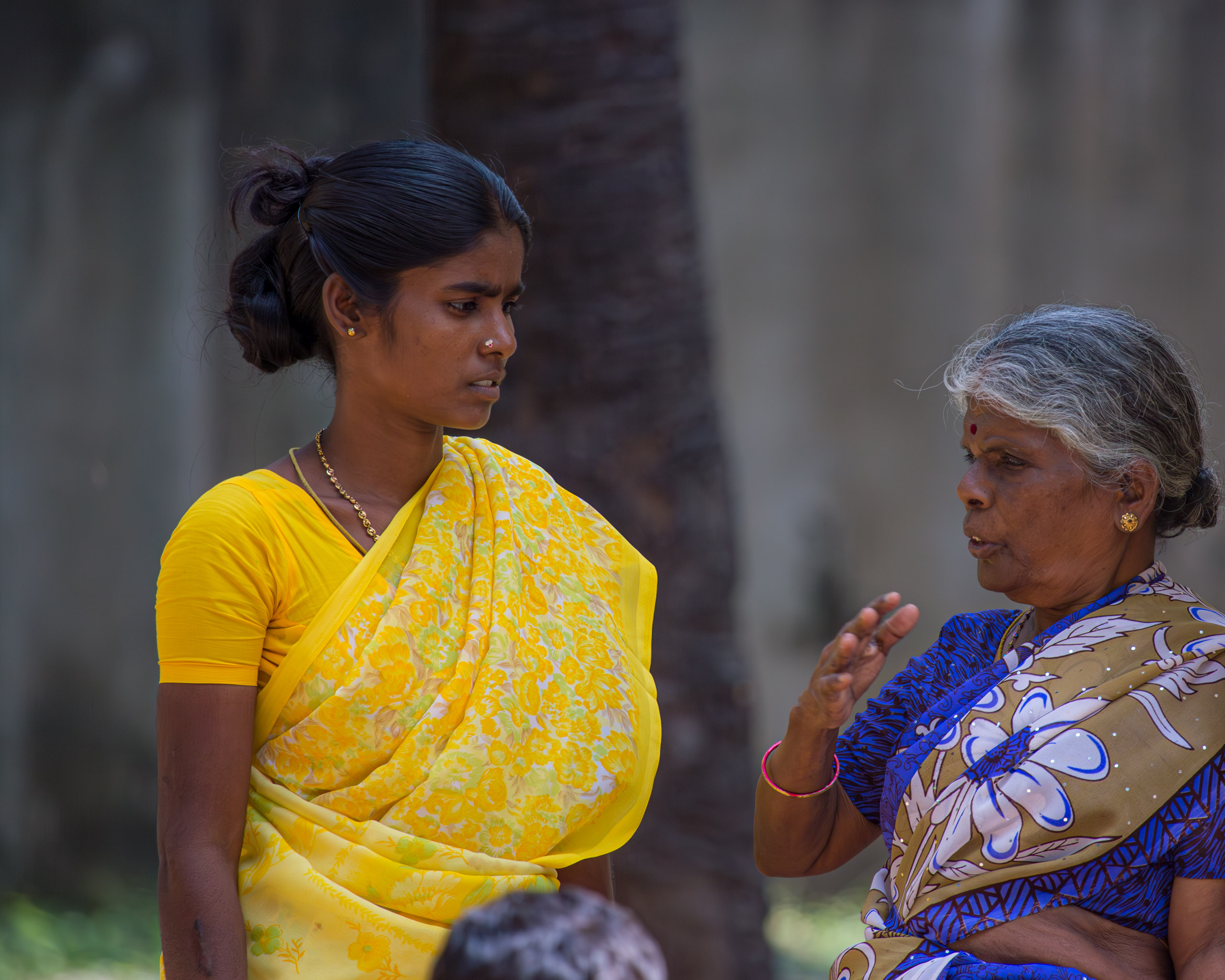 20130111115035 RD 20181 e