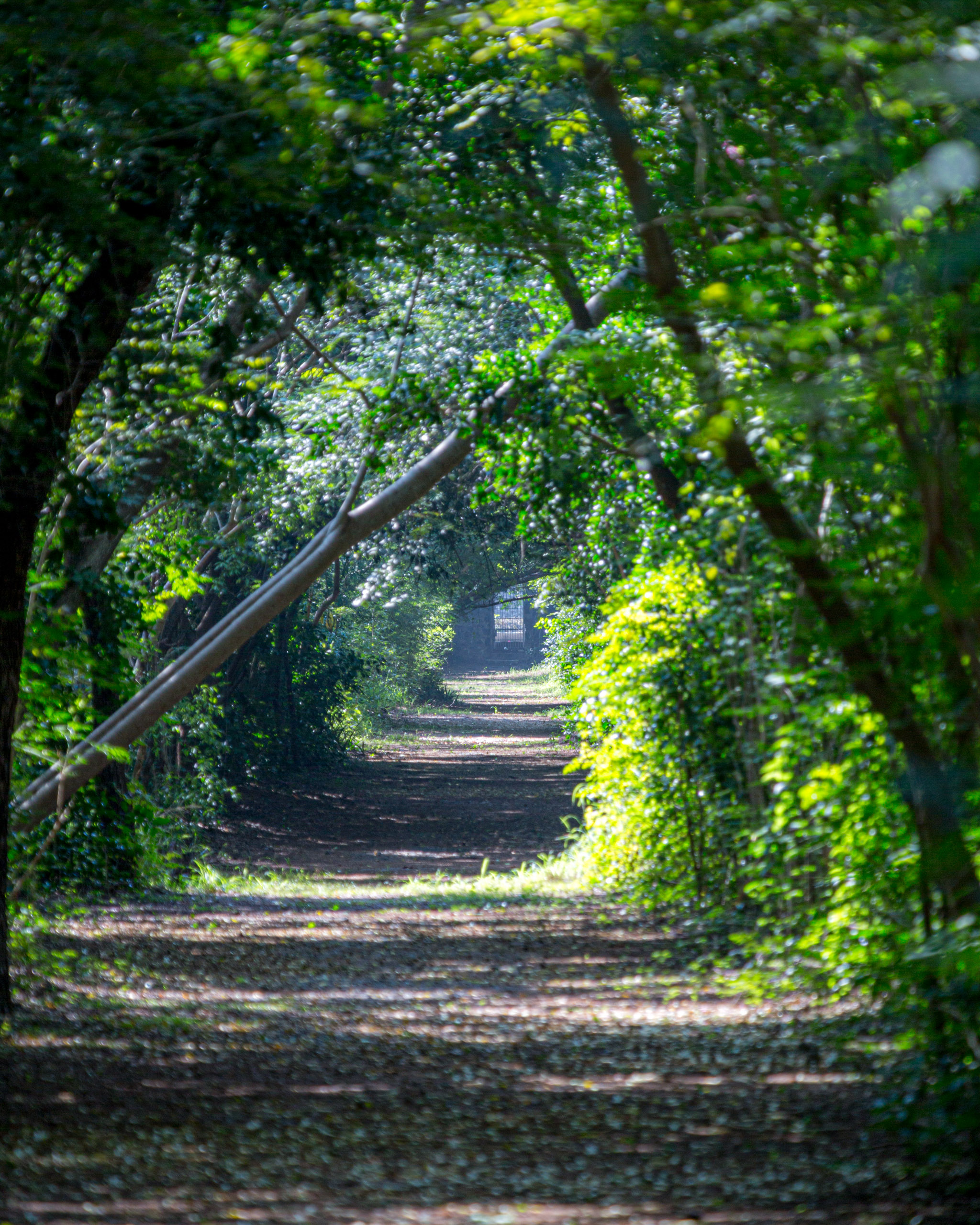 20130104104148 RD 27072