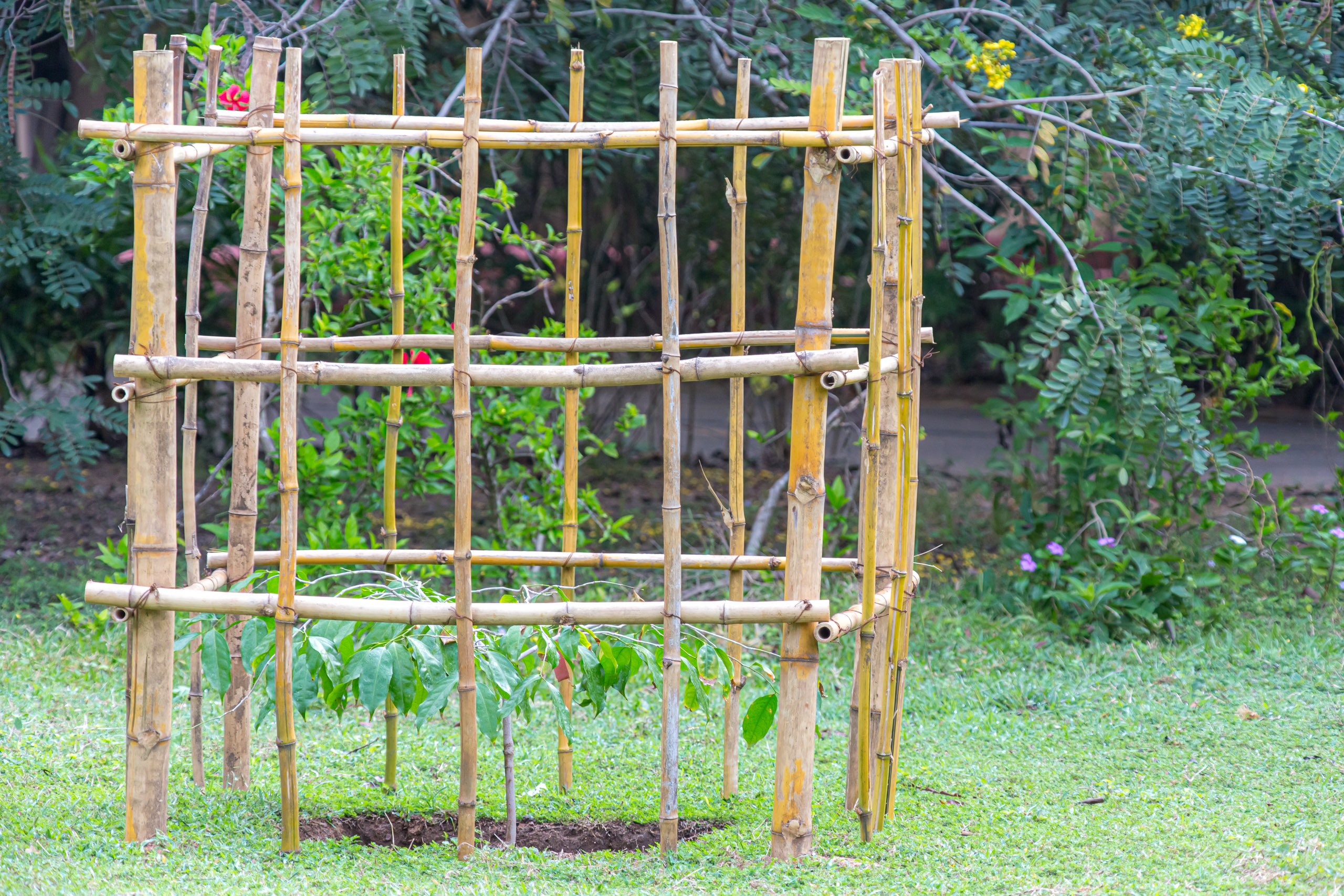 20130105085416 RD 27547