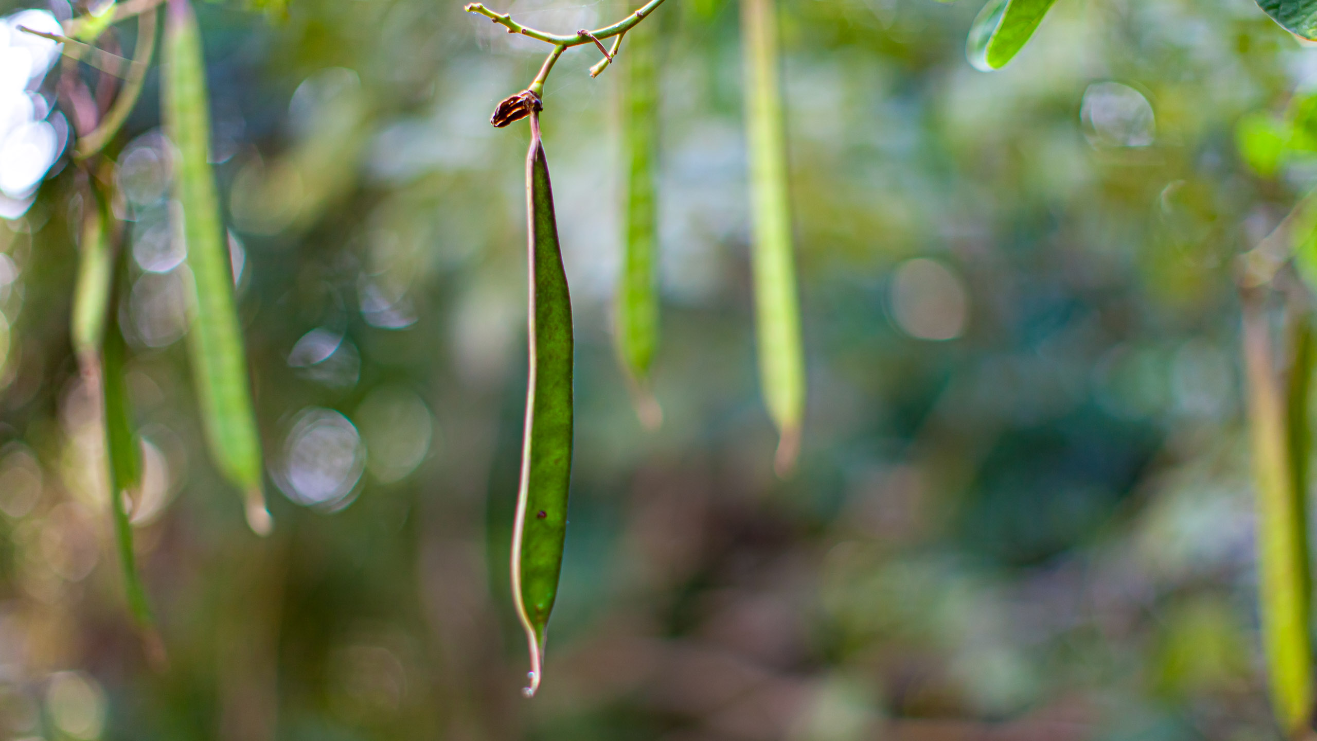 20130105094928 IMG 4634