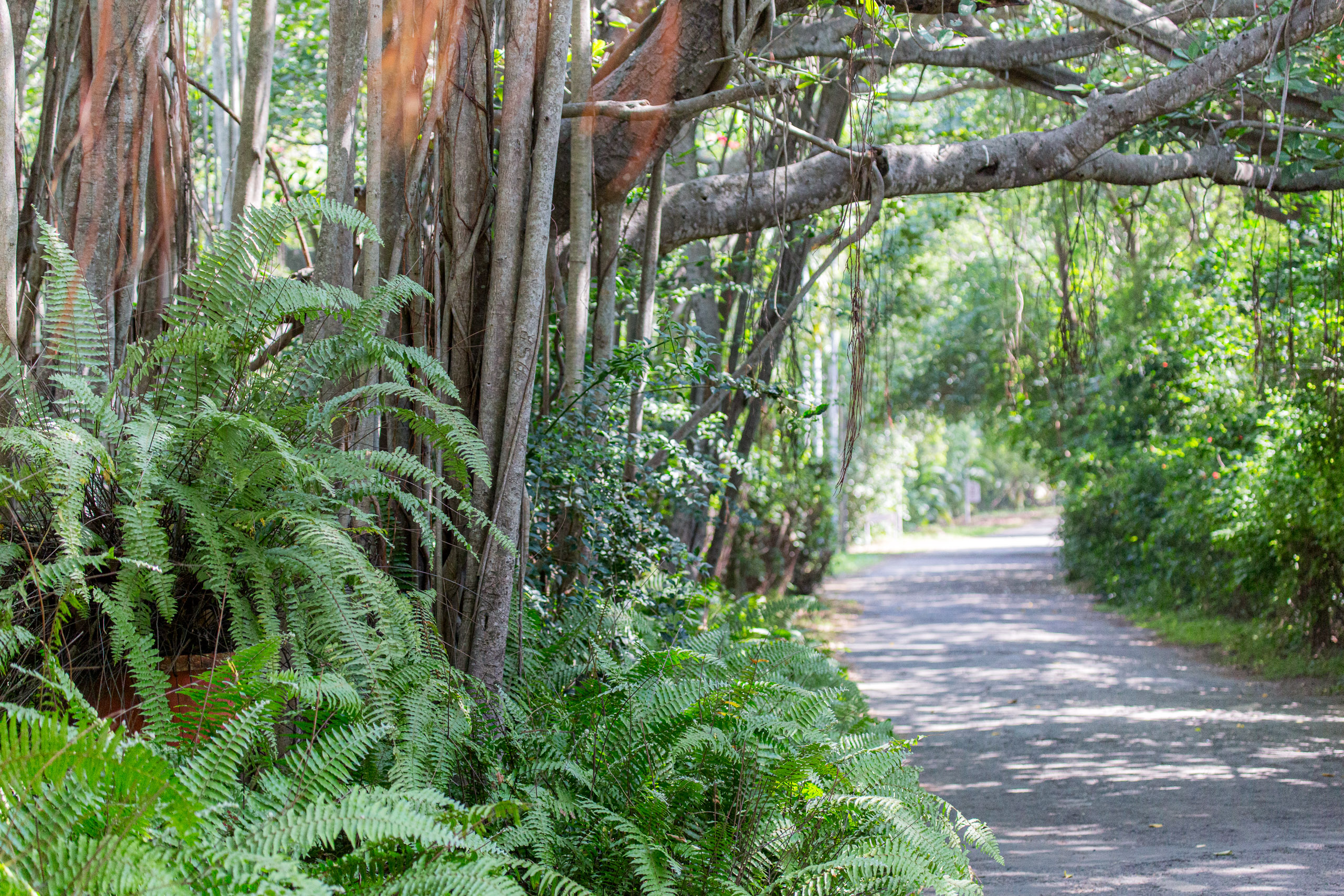 20130109111108 RD 28400