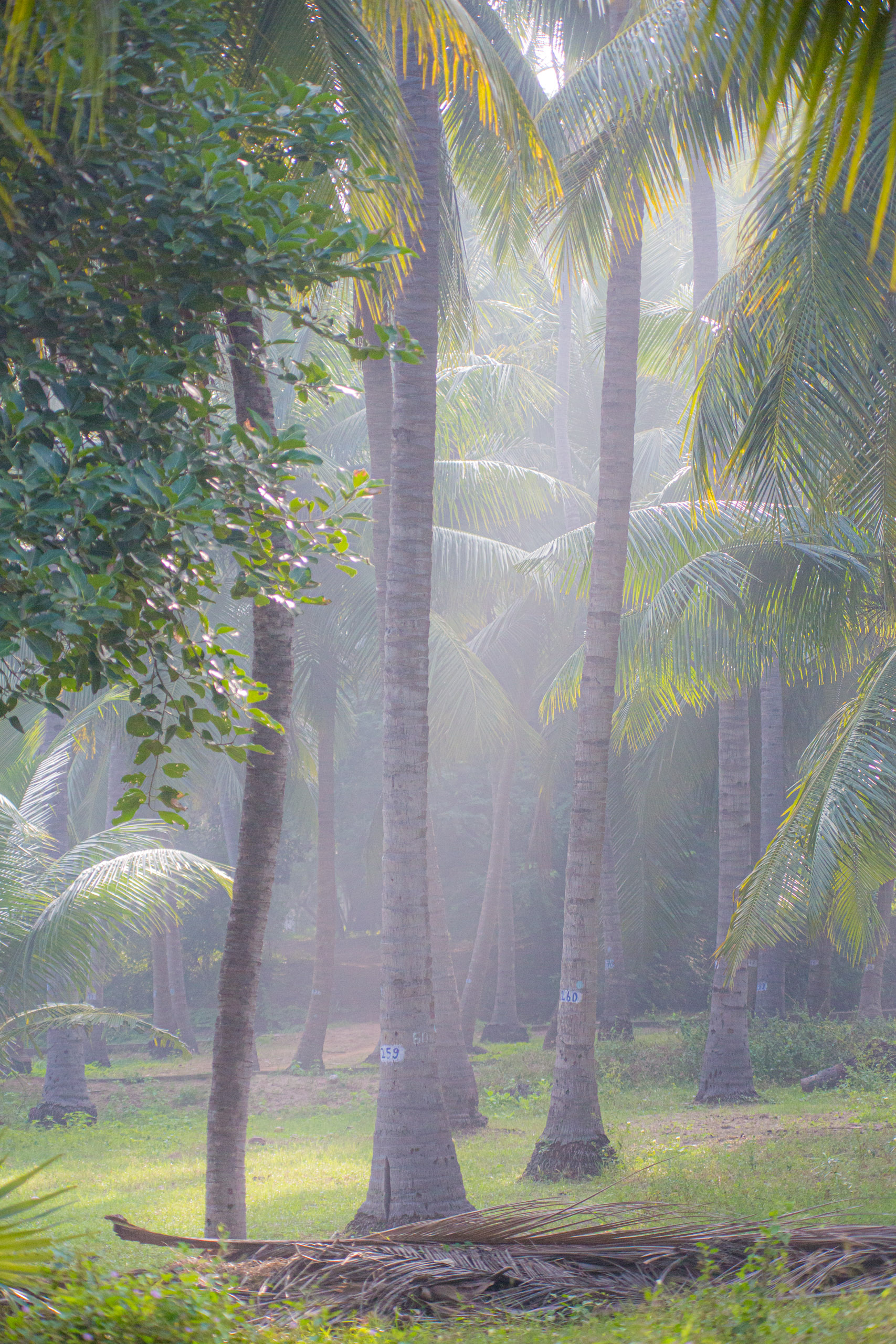 20130112082850 RD 20823