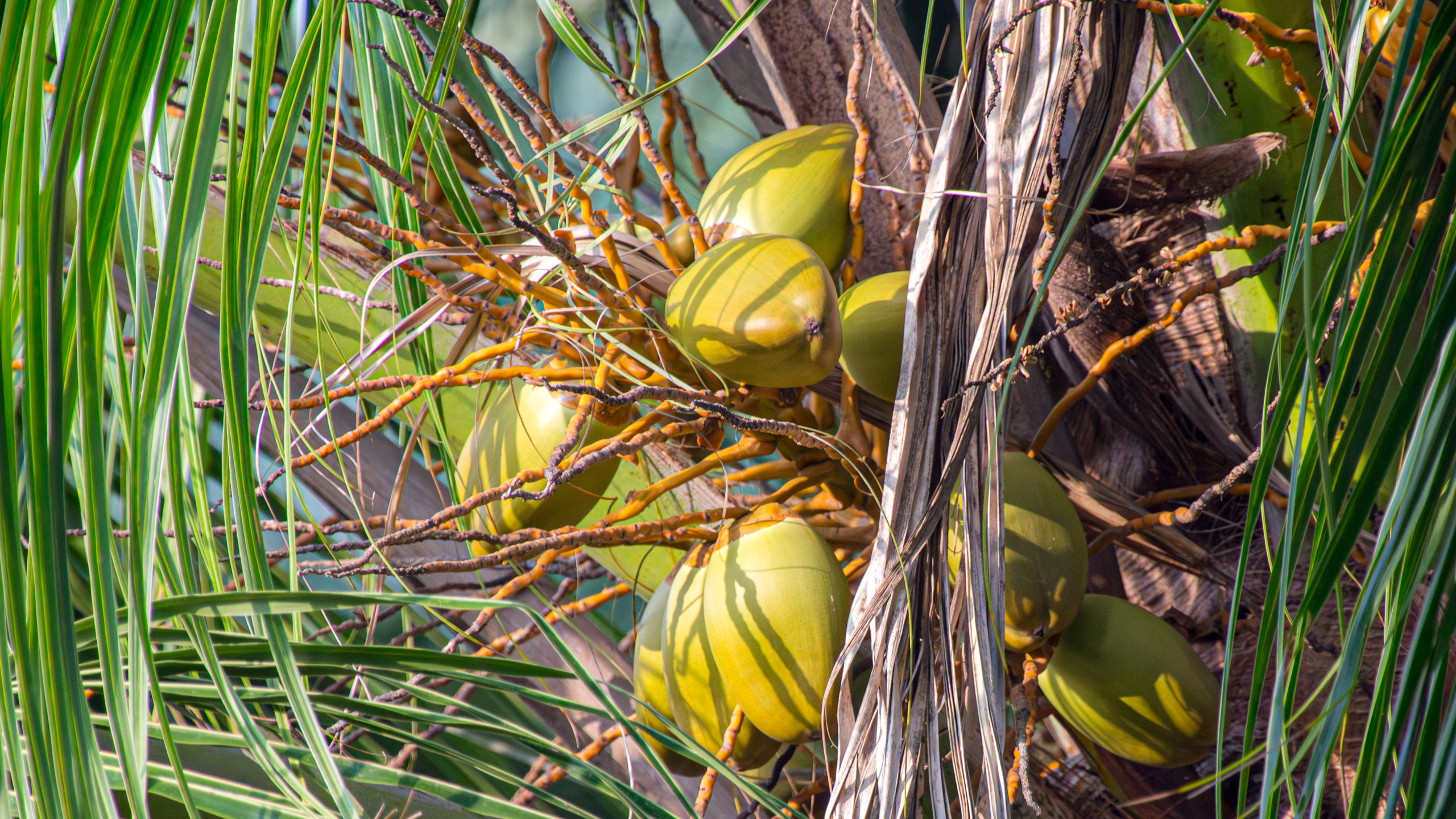 20130112083456 RD 20864 e