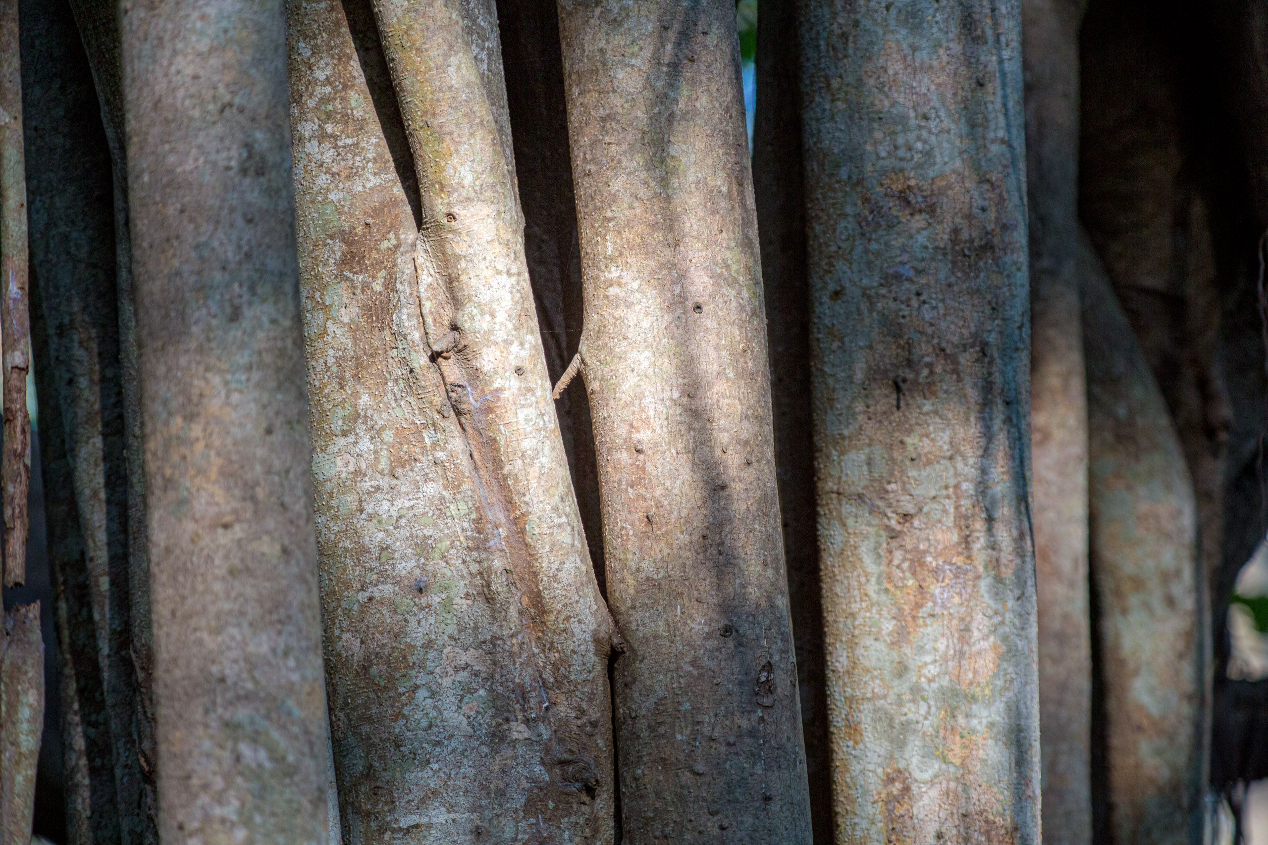 20130125082014 RD 26842